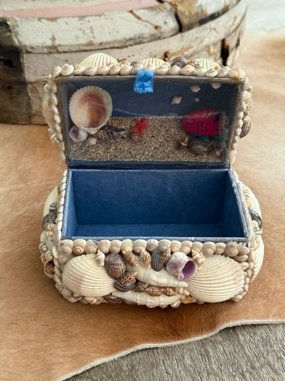 Seashell Embellished Trinket Box - Blue Interior with Ocean Scene